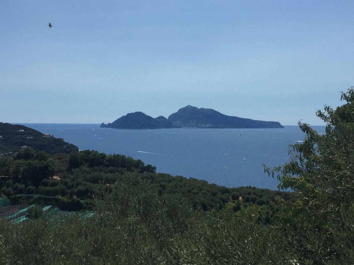 B&B La Quiete Massa Lubrense Eksteriør billede